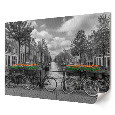 Artystyczny wydruk na płótnie Rowery i tulipany w Amsterdamie