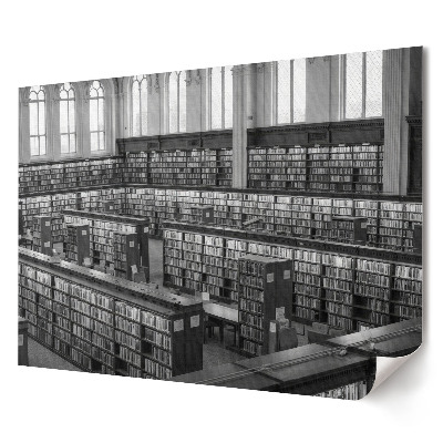 Artystyczny wydruk na płótnie przedstawiający bibliotekę pełną książek w odcieniach monochromatycznych