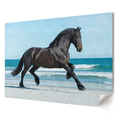 Elegancki plakat do salonu Czarny koń biegnący po plaży