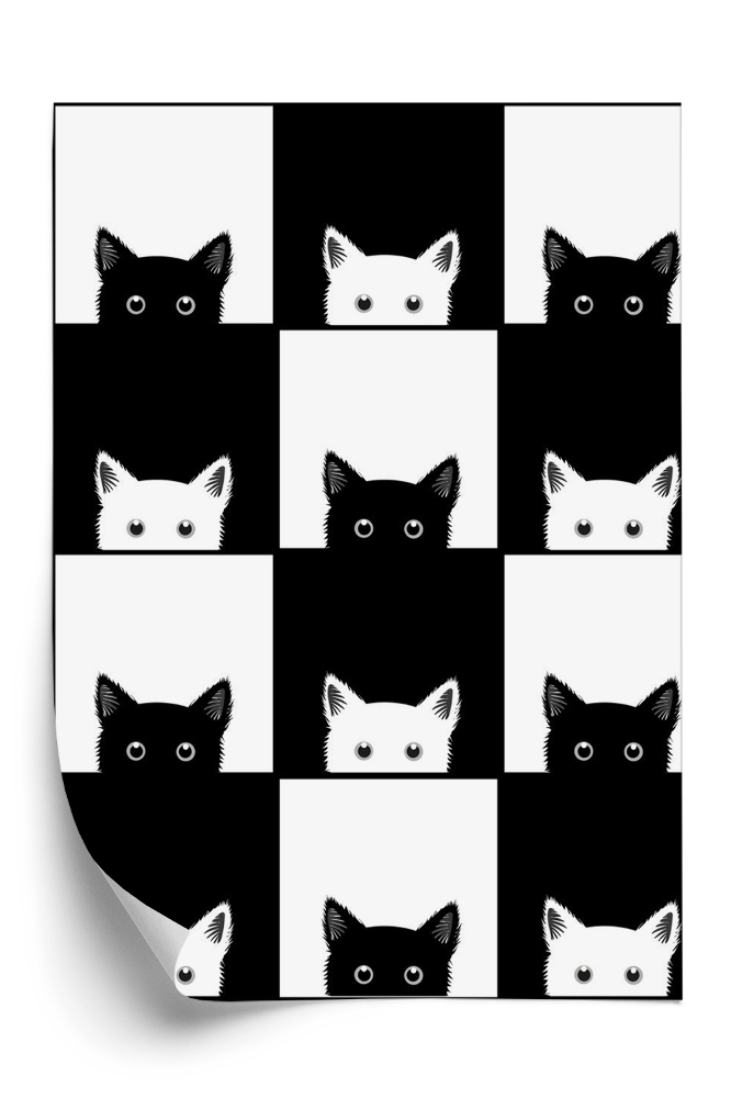 Tapeta Czarny biały kot w szachownicy