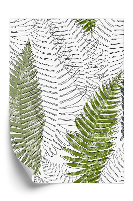 Tapeta Liście paproci