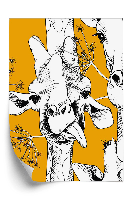 Tapeta Zyrafy na pomarańczowym tle