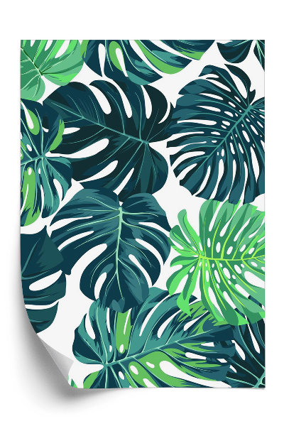 Tapeta Tropikalna monstera