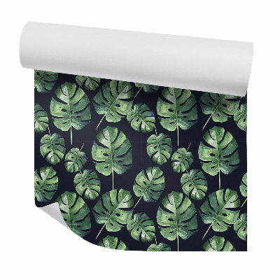 Tapeta Liście tropikalne monstera