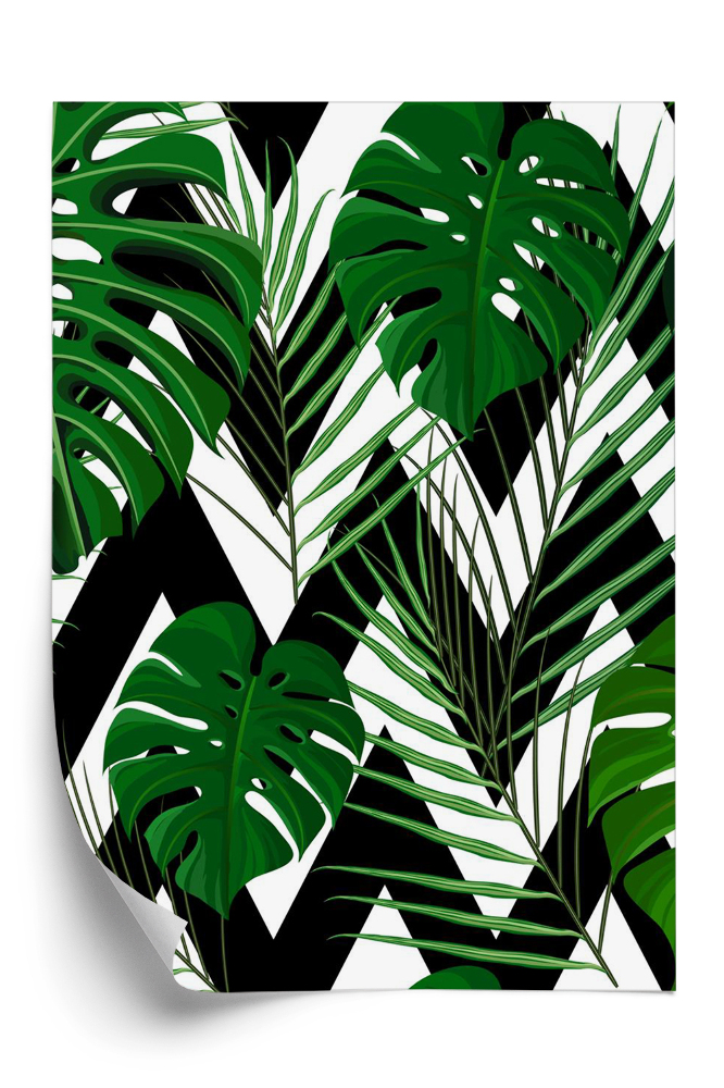 Tapeta Tropikalny wzór z egzotycznych liści palmowych i monstery