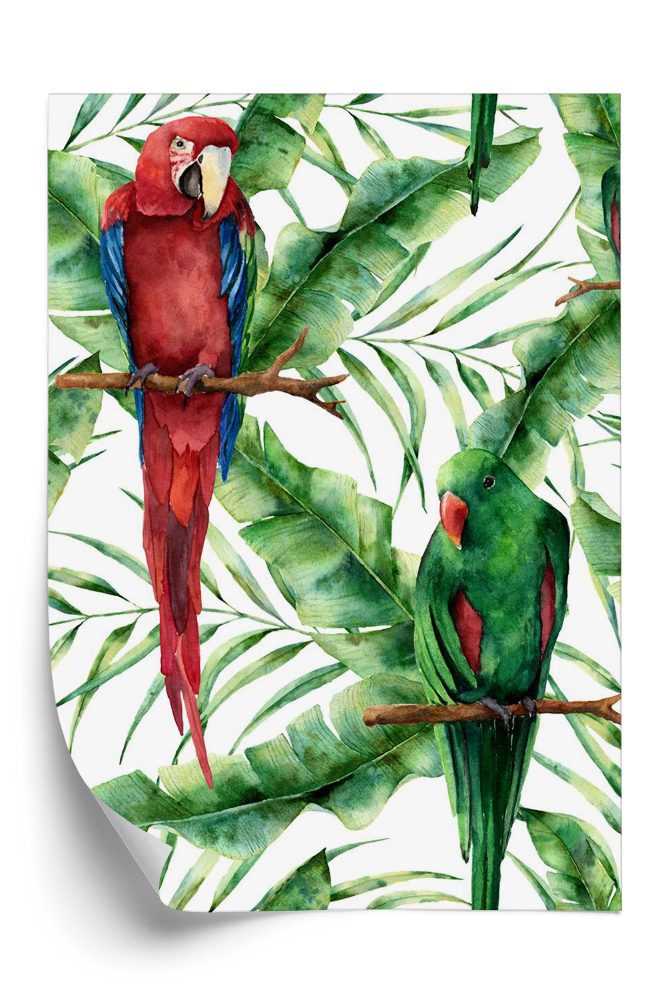 Tapeta Kolorowe papugi w dżungli