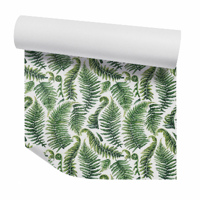 Okleina ścienna Zielone liście paproci