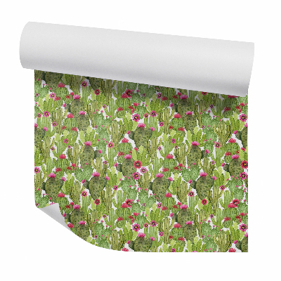 Okleina samoprzylepna na ścianę Kaktusy z czerwonymi kwiatami
