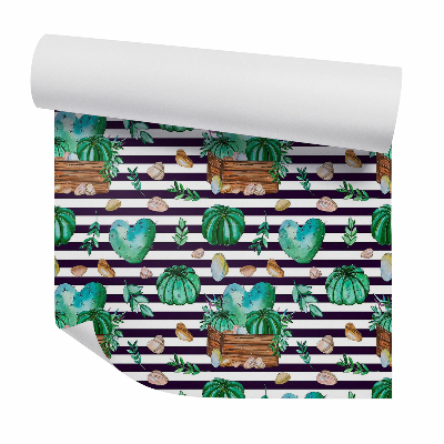 Okleina samoprzylepna na ścianę Kaktusy i kamyki na tle w pasy