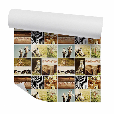 Tapeta Zwierzęta sawanny w kwadratach