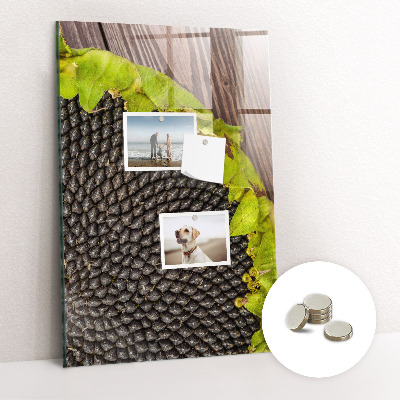 Tablica magnetyczna na magnesy na ścianę Nasiona słonecznika