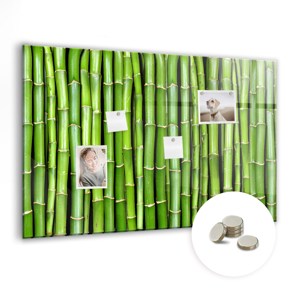 Tablica magnetyczna na ścianę Zielone pędy bambusa