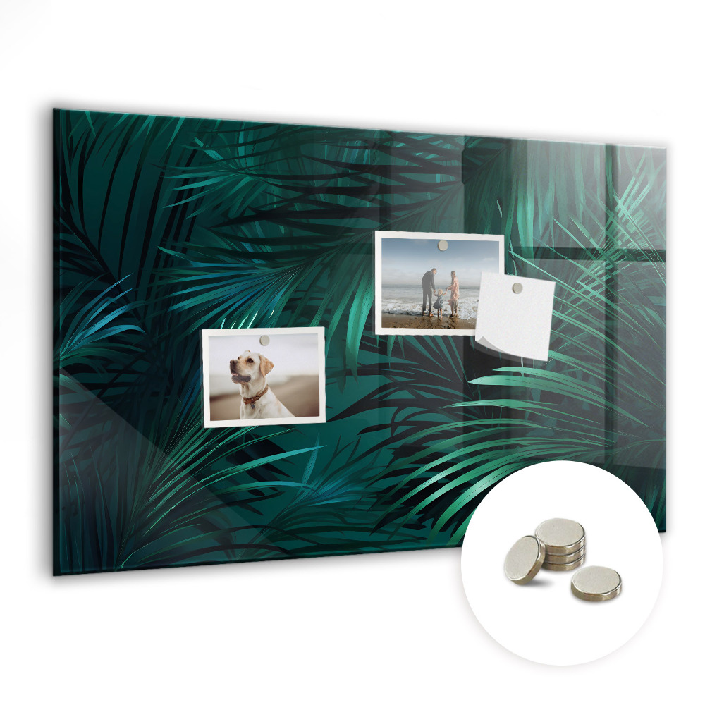 Tablica magnetyczna na ścianę Tropikalne liście palmy