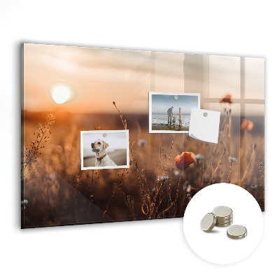 Tablica magnetyczna z magnesami Wschód słońca pole