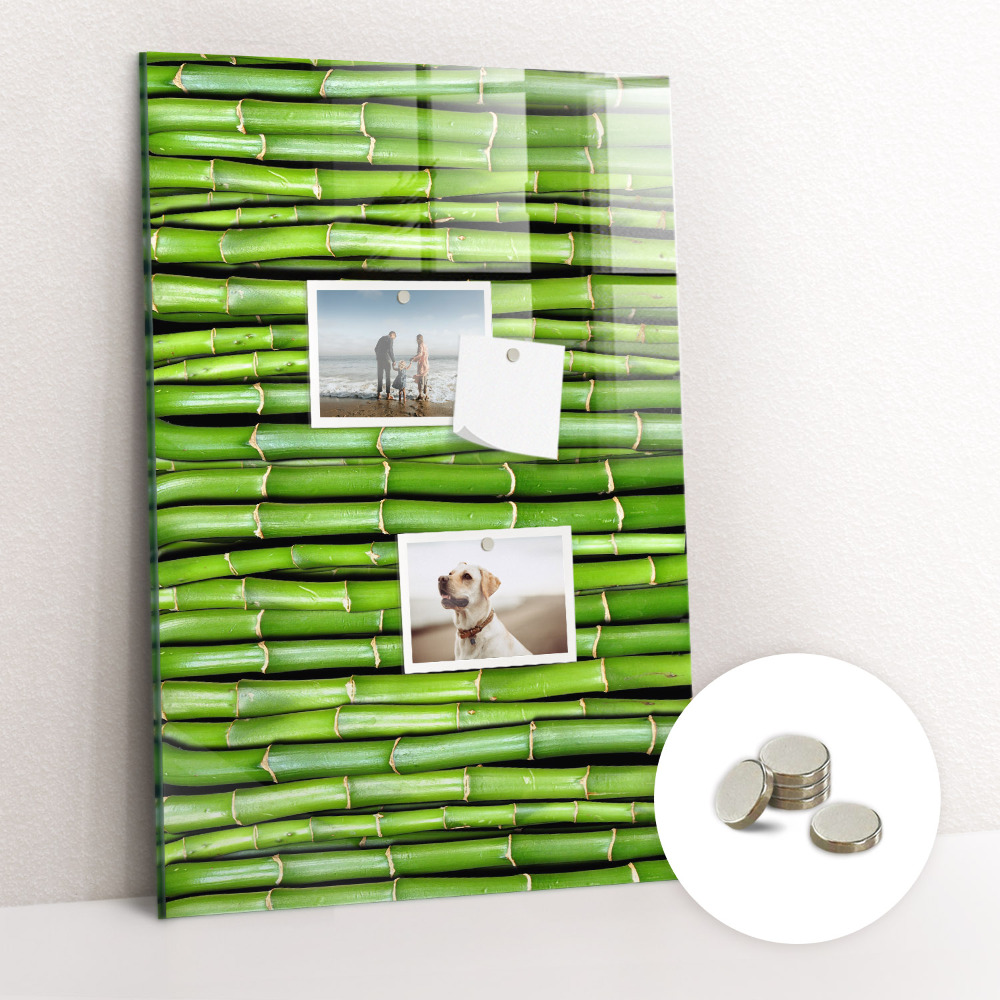 Tablica magnetyczna na magnesy na ścianę Zielony bambus
