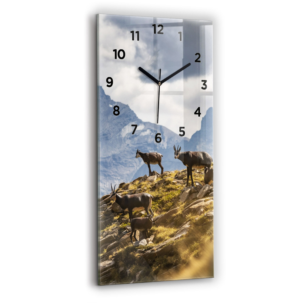 Zegar szklany 30x60 Koza w Dolinie Aosta