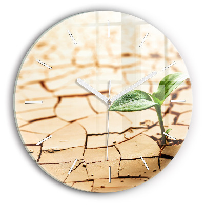 Zegar szklany Roślina w suchej ziemi